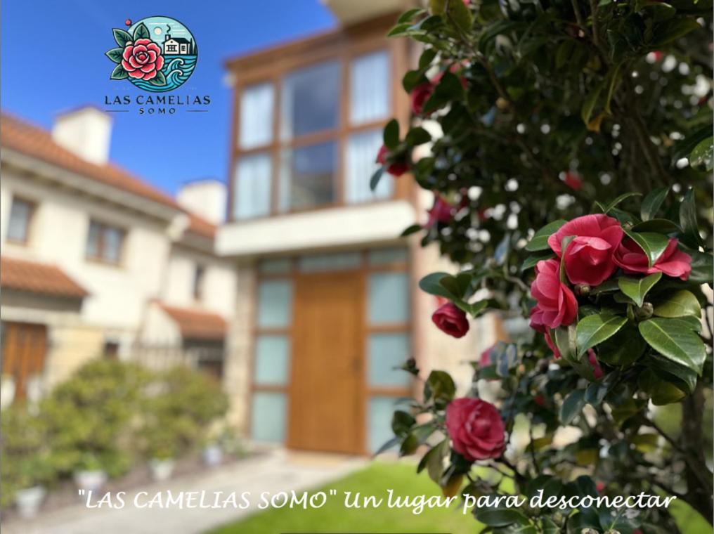 "Las Camelias Somo" Un Lugar Para Desconectar!! Vistas Al Mar!! ภายนอก รูปภาพ